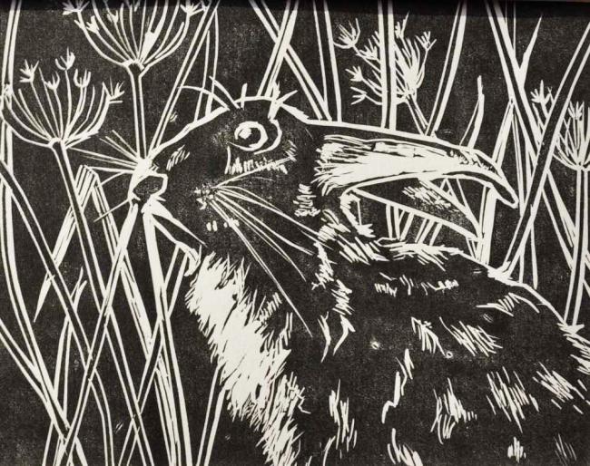 March Hare - Original artwork by Pat Rhead-Phillips